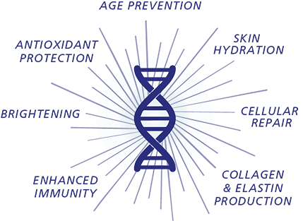 iS Clinical GeneXC Serum